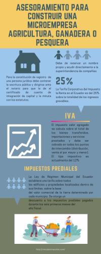 INFOGRAFIA-MICROEMPRESA page-0001 (1)